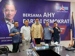 PD Ungkap Dampak Ucapan Puan Bikin Mulyadi Tunda Daftar Pilgub Sumbar