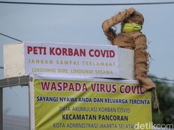 CDC Imbau Warga AS Tak ke Indonesia, Ini Reaksi Satgas COVID-19