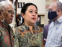 Anggota DPR Asal Sumatera Barat Ingin Puan Maharani Minta Maaf