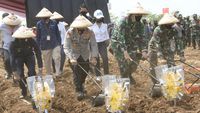 Sinergitas TNI-Polri untuk Ketahanan Pangan