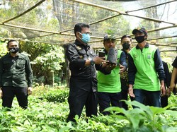 Mentan Dorong Kabupaten Malang Jadi Penghasil Bibit Alpukat Unggul