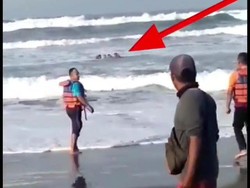 4 Wisatawan Tergulung Ombak Pantai Parangtritis Yogya, 1 Hilang