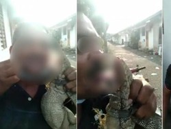 5 Aksi Makan Hewan Hidup dan Utuh yang Curi Perhatian