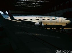 Tiket Garuda, Sriwijaya, AirAsia, Ada yang Rp 170 Ribu ke Mana Saja