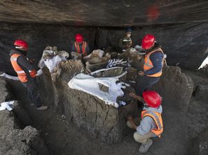 Kerangka Mammoth Ditemukan di Area Pembangunan Bandara Meksiko Kerangka Mammoth Ditemukan di Area Pembangunan Bandara Meksiko