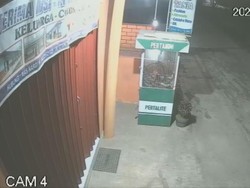 Hiiii.. Viral, Motor Tua Jalan Sendiri saat Subuh