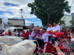 Naik Roda Sapi, Joune Ganda-Kevin Lotulung Daftar ke KPU Minahasa Utara