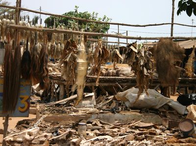 Foto: Pasar Sihir Terbesar Dunia