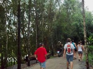 Potret Hijaunya Hutan Tra Su Cau Doc Vietnam