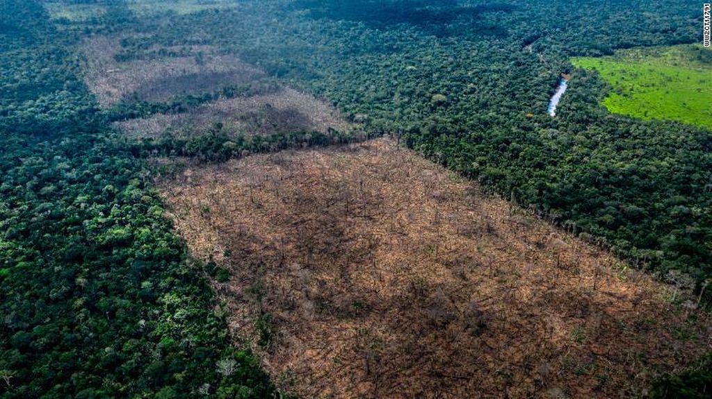 Kala Suku Amazon Awasi Hutan Pakai Drone