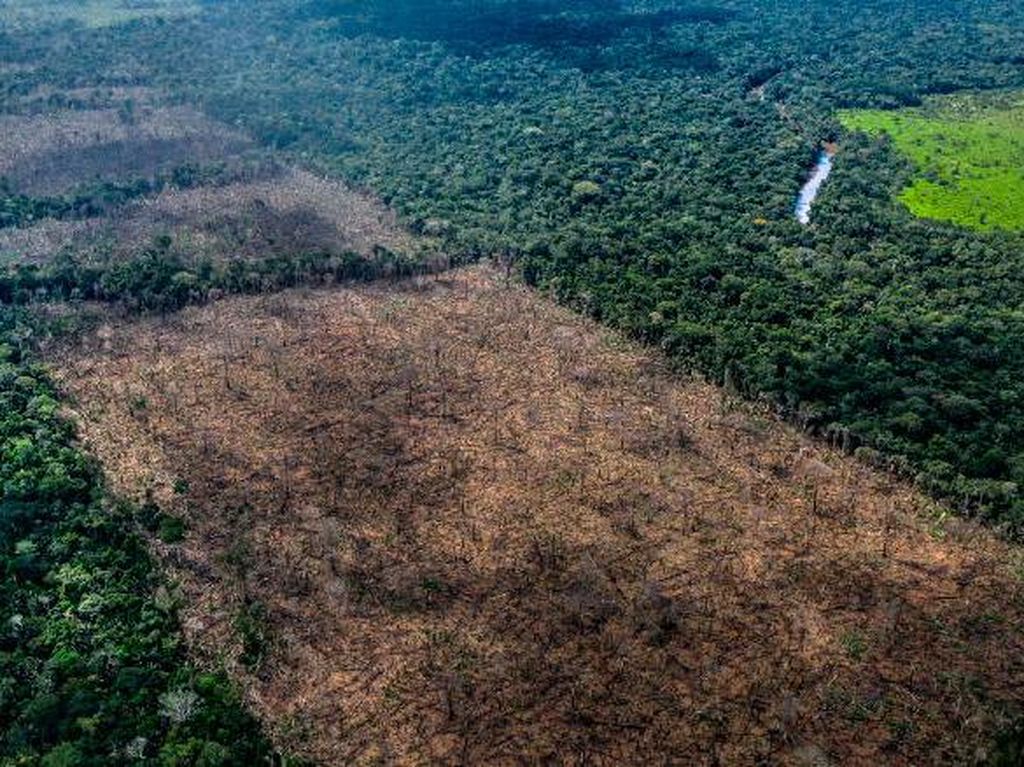 Kala Suku Amazon Awasi Hutan Pakai Drone