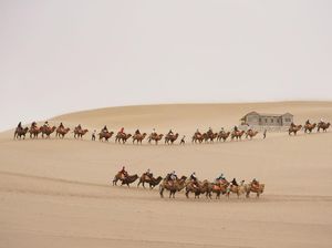 Di Negara Manakah Gurun Gobi Terletak? Ini Penjelasannya