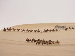 Di Negara Manakah Gurun Gobi Terletak? Ini Penjelasannya