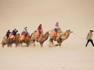 Di China Ada Wisata Naik Unta dan Oasis di Padang Pasir Lho