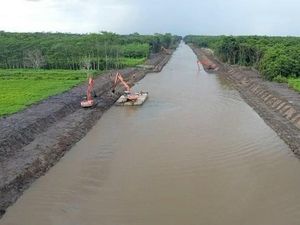 Dana Pemulihan Ekonomi Rp 4 T Dipakai buat Proyek Lumbung Pangan