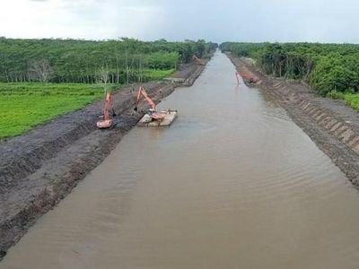 Mengintip Persiapan Megaproyek Lumbung Pangan di Kalteng