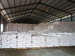 Jelang Musim Tanam, Stok Pupuk Subsidi Terpantau Aman