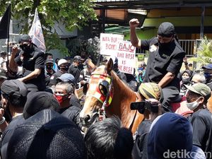 Calon Independen Solo Didukung Barisan Tikus Pithi, Apa Artinya? Calon Independen Solo Didukung Barisan Tikus Pithi, Apa Artinya?