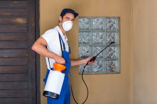 Jasa Profesional/ Foto: Freepik.com jasa pembasmi hama profesional memang menjadi solusi untuk membasmi tikus di rumah