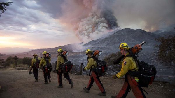 Melihat Aksi Petugas Pemadam di Kebakaran Hutan California