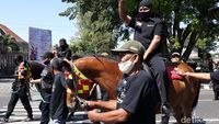 Naik Kuda, Pasangan Bajo Daftar ke KPU Solo