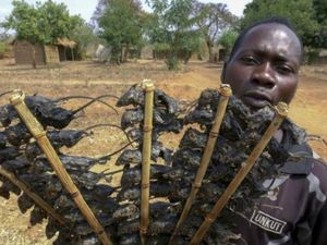 Imbas Corona, Orang di Afrika Makan Sate Tikus Untuk Atasi Kelaparan Imbas Corona, Orang di Afrika Makan Sate Tikus Untuk Atasi Kelaparan