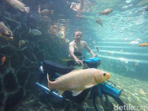 Berfoto di Underwater Woodland Kuningan yang Bikin Awet Muda