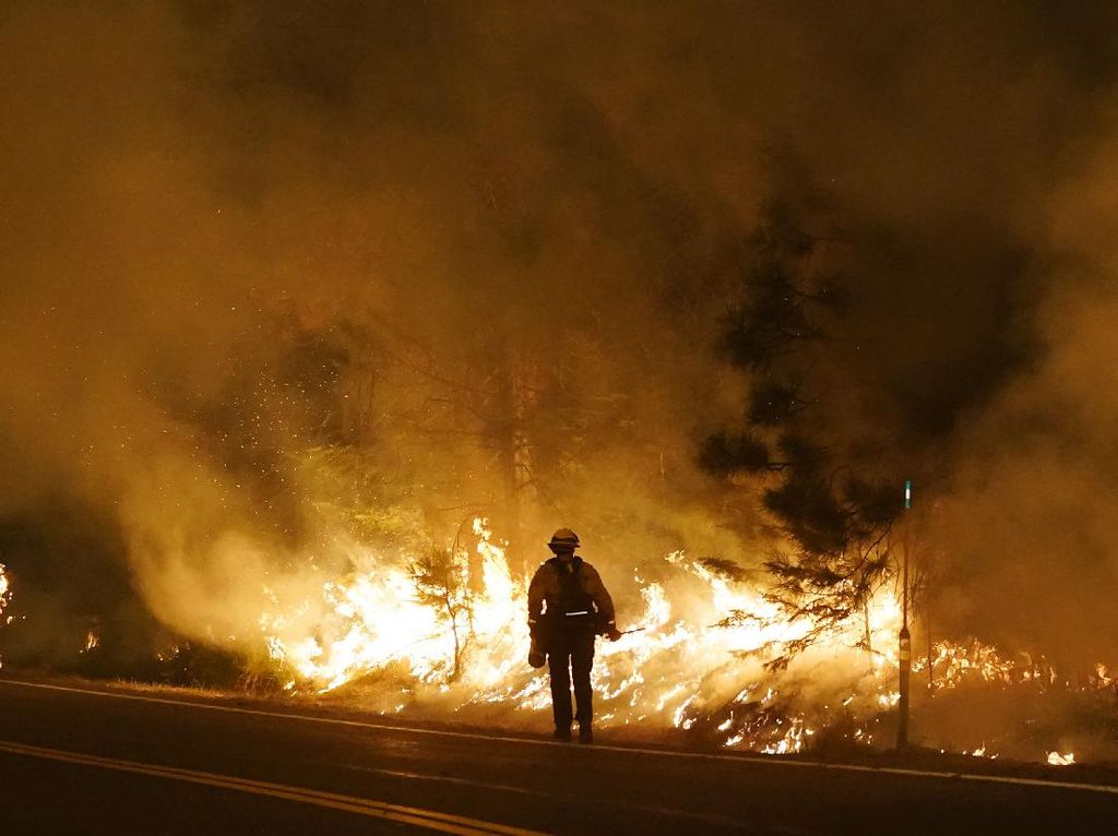 Suasana Mencekam Warga Oregon Dikepung Api Kebakaran Hutan Suasana Mencekam Warga Oregon Dikepung Api Kebakaran Hutan