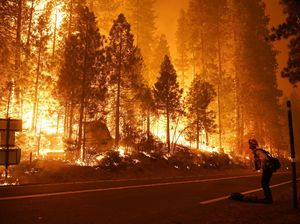 Potret Kobaran Api Lalap Hutan di California