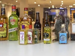 Alasan Kontra RUU Larangan Minol: Tutup Rezeki hingga Cemas Oplosan