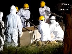 Tren Kurva Covid-19 di Dunia, India Laporkan 88.600 Kasus Dalam Sehari