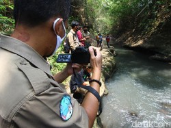 Tengkorak Diduga Macan Tutul yang Ditemukan di Malang Dikirim ke LIPI