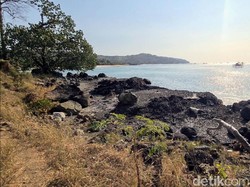 Pulau Kunti Bakal Terlarang Dimasuki Manusia Tahun 2024