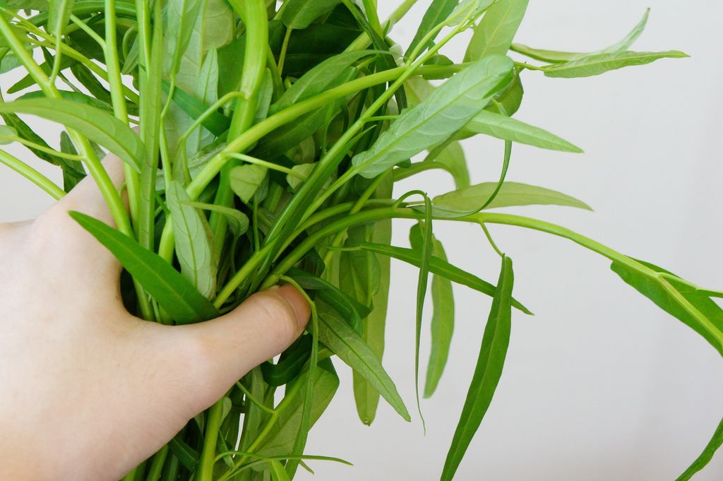 Resep Mie Kangkung Resep Mie Kangkung