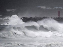 Horor Topan Haishen Hajar Jepang Kini Korsel Pun Diterjang