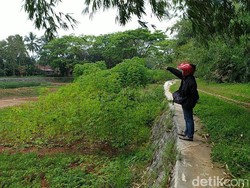 Situ Rancabungur Ciamis Mengering, Warga Manfaatkan untuk Tanam Sayuran