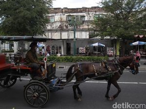 Keberadaan Andong di Malioboro, Kucing-kucingan hingga Jadi Ikon Wisata Keberadaan Andong di Malioboro, Kucing-kucingan hingga Jadi Ikon Wisata