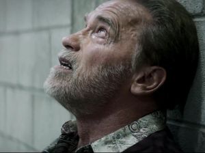 Sinopsis Aftermath, Arnold Schwarzenegger Berduka dalam Insiden Pesawat