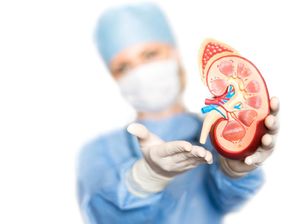 Transplantasi Ginjal Babi ke Manusia Pertanda Donor Ginjal Langka? Transplantasi Ginjal Babi ke Manusia Pertanda Donor Ginjal Langka?