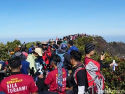 Amankah Naik Gunung Saat Ini, Pendaki Senior: Tidak!