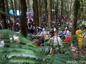Hati-Hati! Gunung Gede Seperti Pasar Pas Akhir Pekan