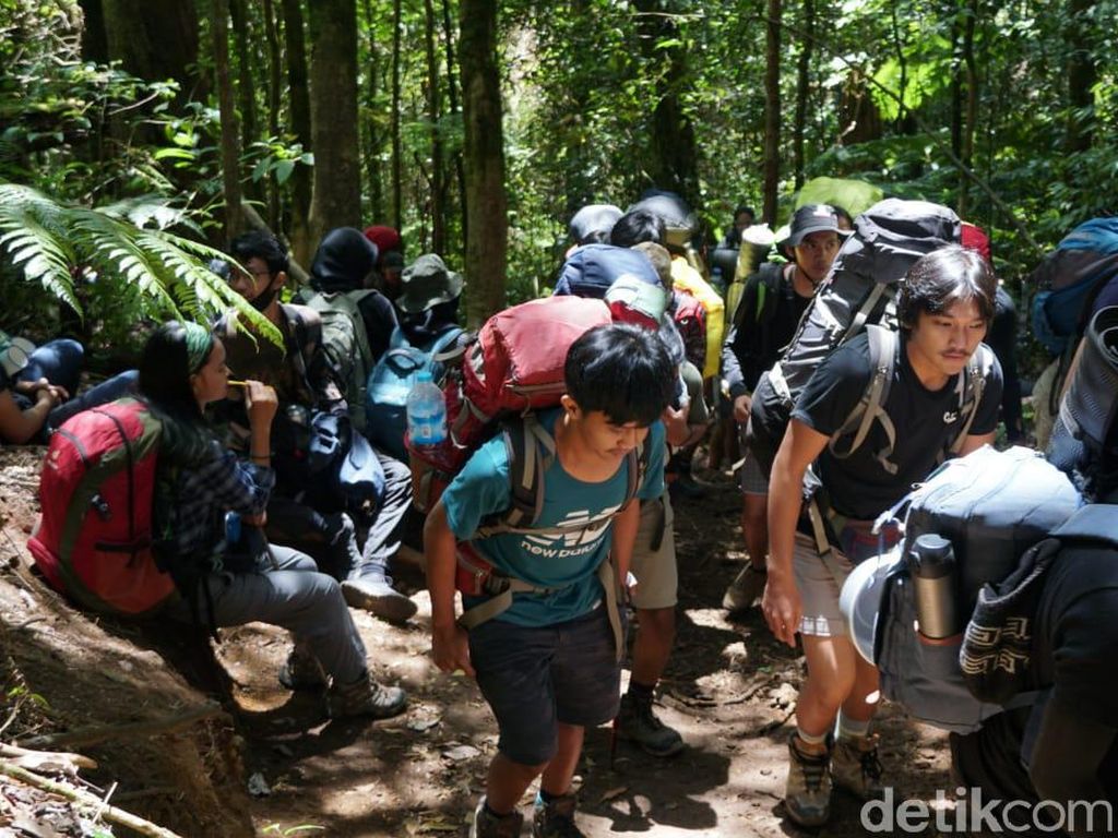 Gunung Gede Kayak Pasar, Tanda TN Kesulitan Adaptasi Saat Pandemi? Gunung Gede Kayak Pasar, Tanda TN Kesulitan Adaptasi Saat Pandemi?