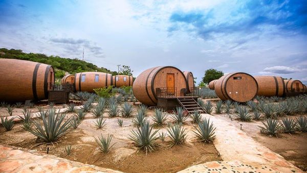 Ini Dia Hotel Bentuk Tong Tequila di Meksiko