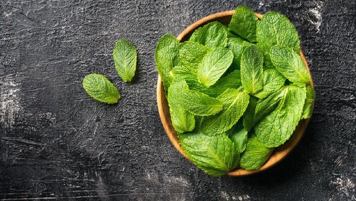 Ilustrasi daun mint Mint leaves herb on dark stone table with copy space.