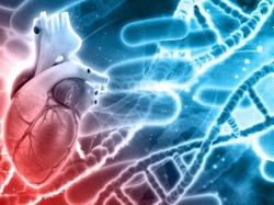 Punya Kebiasaan Ini Tiap Pagi? Hati-hati, Kemungkinan Kena Serangan Jantung Tinggi