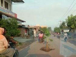 Lagi, Jalan Berlubang di Medan Ditanami Pohon Pisang oleh Warga