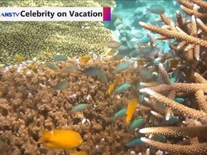 Celebrity on Vacation: Keindahan Bawah Laut Luwuk Sulteng