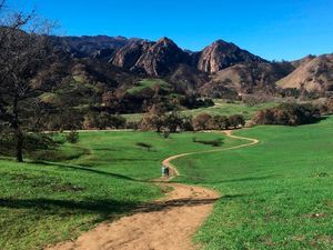 Perempuan Ini Tewas Saat Hiking di Cuaca Panas Ekstrem