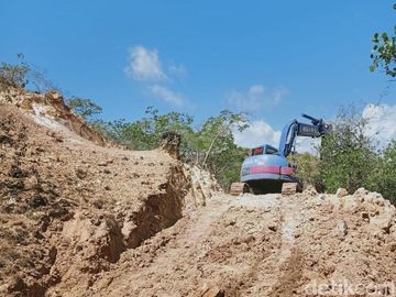 Penampakan Alat Berat Mulai Membangun Jurassic Park di Pulau Rinca
