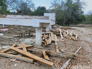 Tim Arsitek Pulau Rinca: Pembangunan di Zona yang Sudah Ada